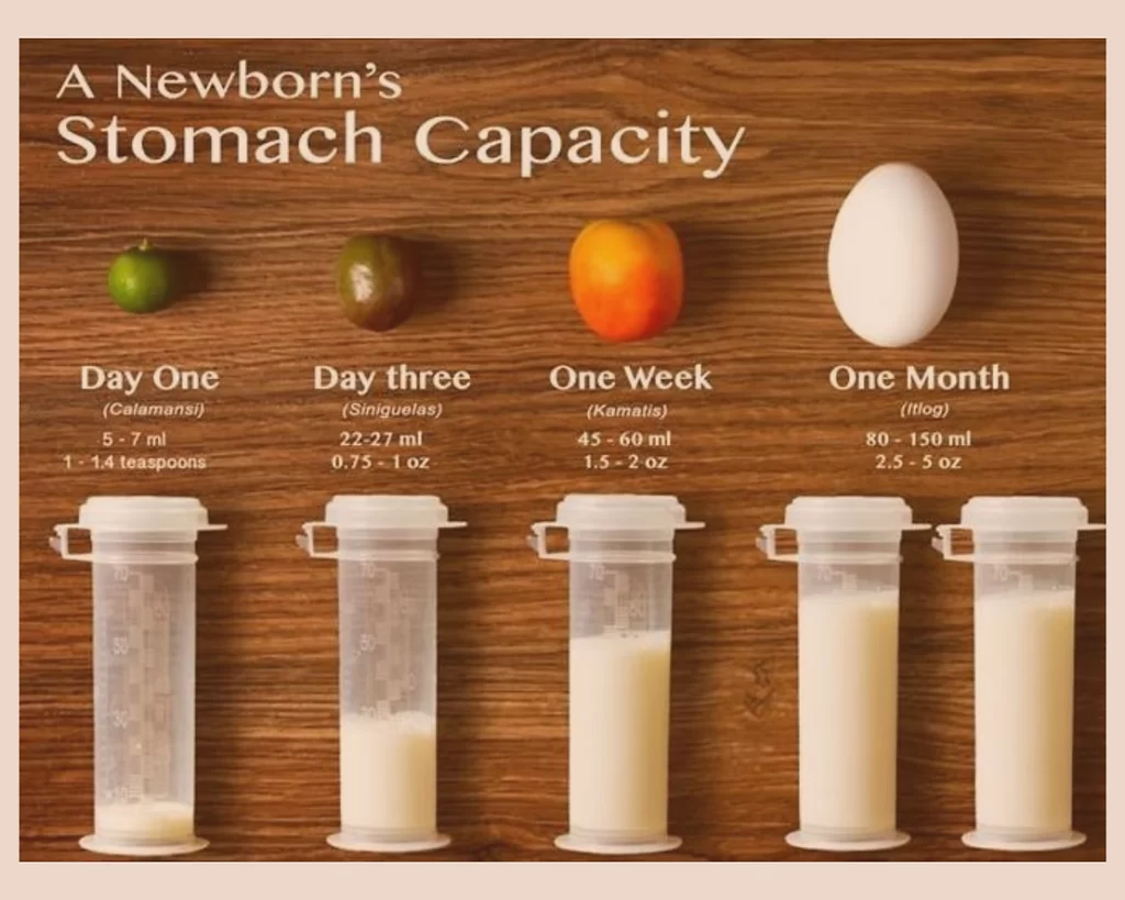 baby stomach capacity